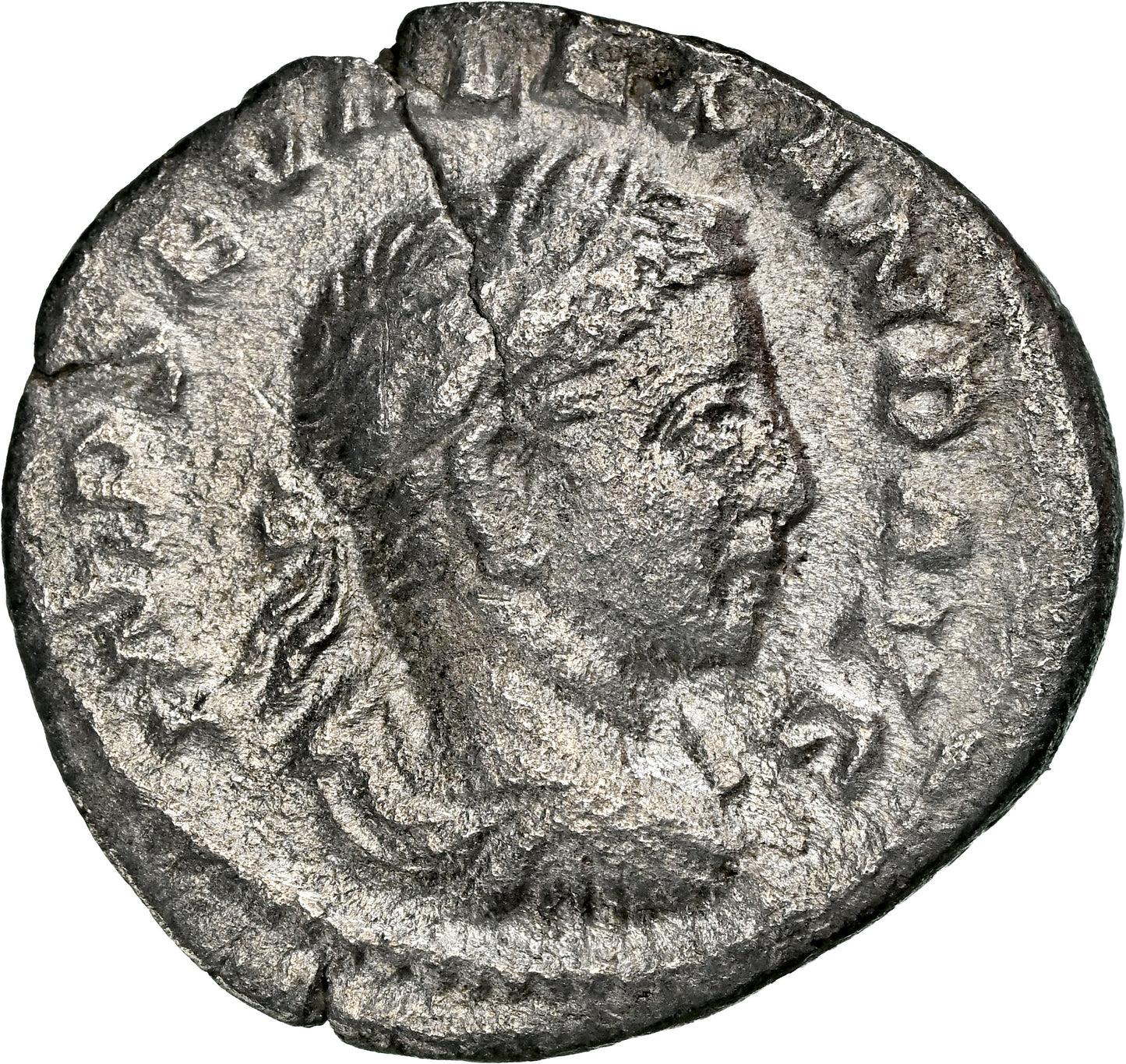 Roman Empire - Severus Alexander - Silver Denarius - NGC VF