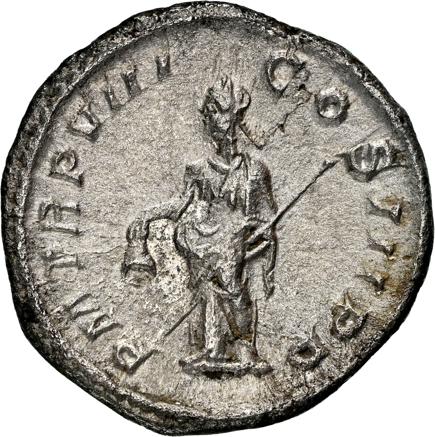 Roman Empire - Severus Alexander - Silver Denarius - NGC Ch VF