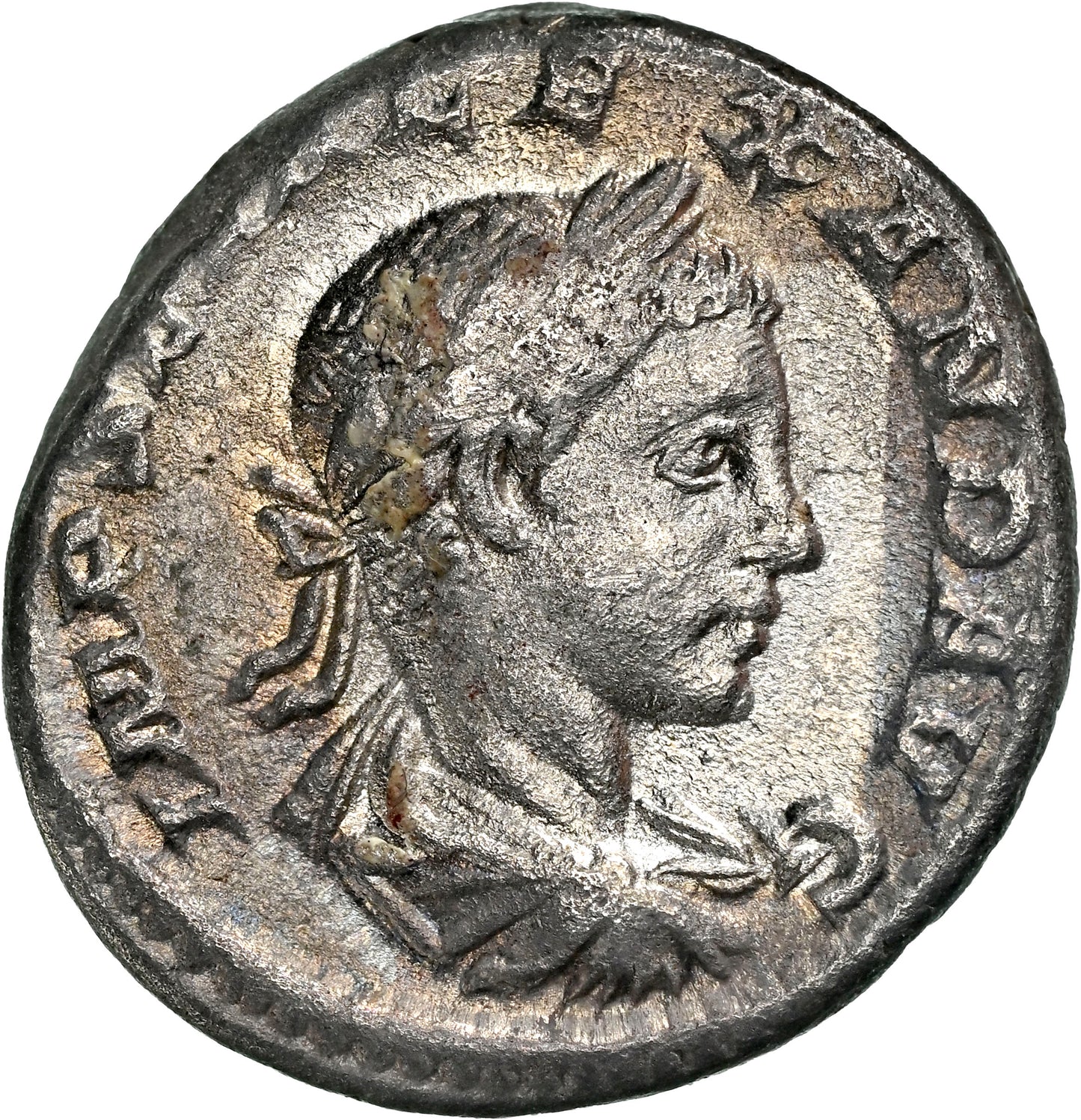 Roman Empire - Severus Alexander - Silver Denarius - NGC VF