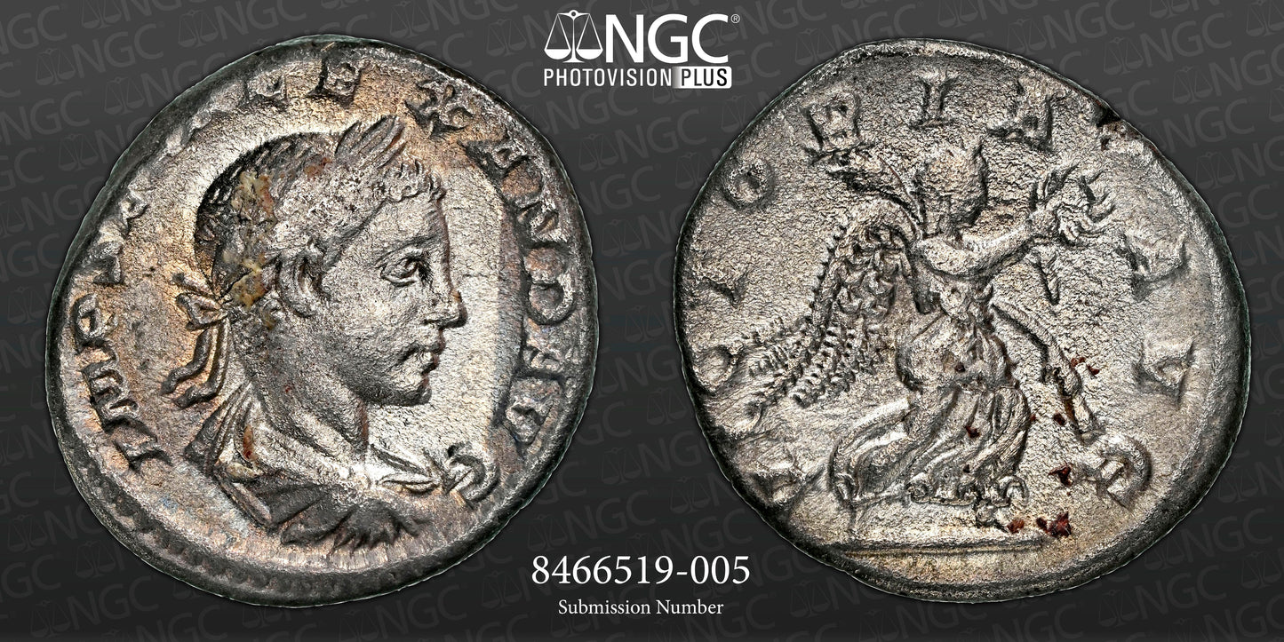 Roman Empire - Severus Alexander - Silver Denarius - NGC VF
