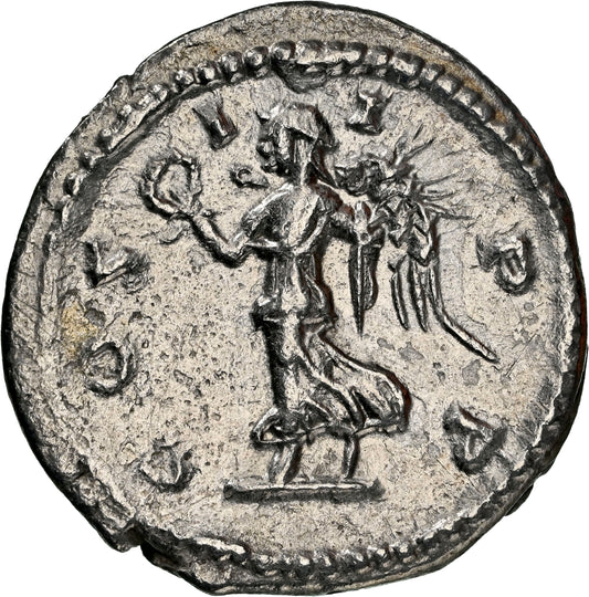 Roman Empire - Septimius Severus - Silver Denarius - NGC AU - RIC:503a