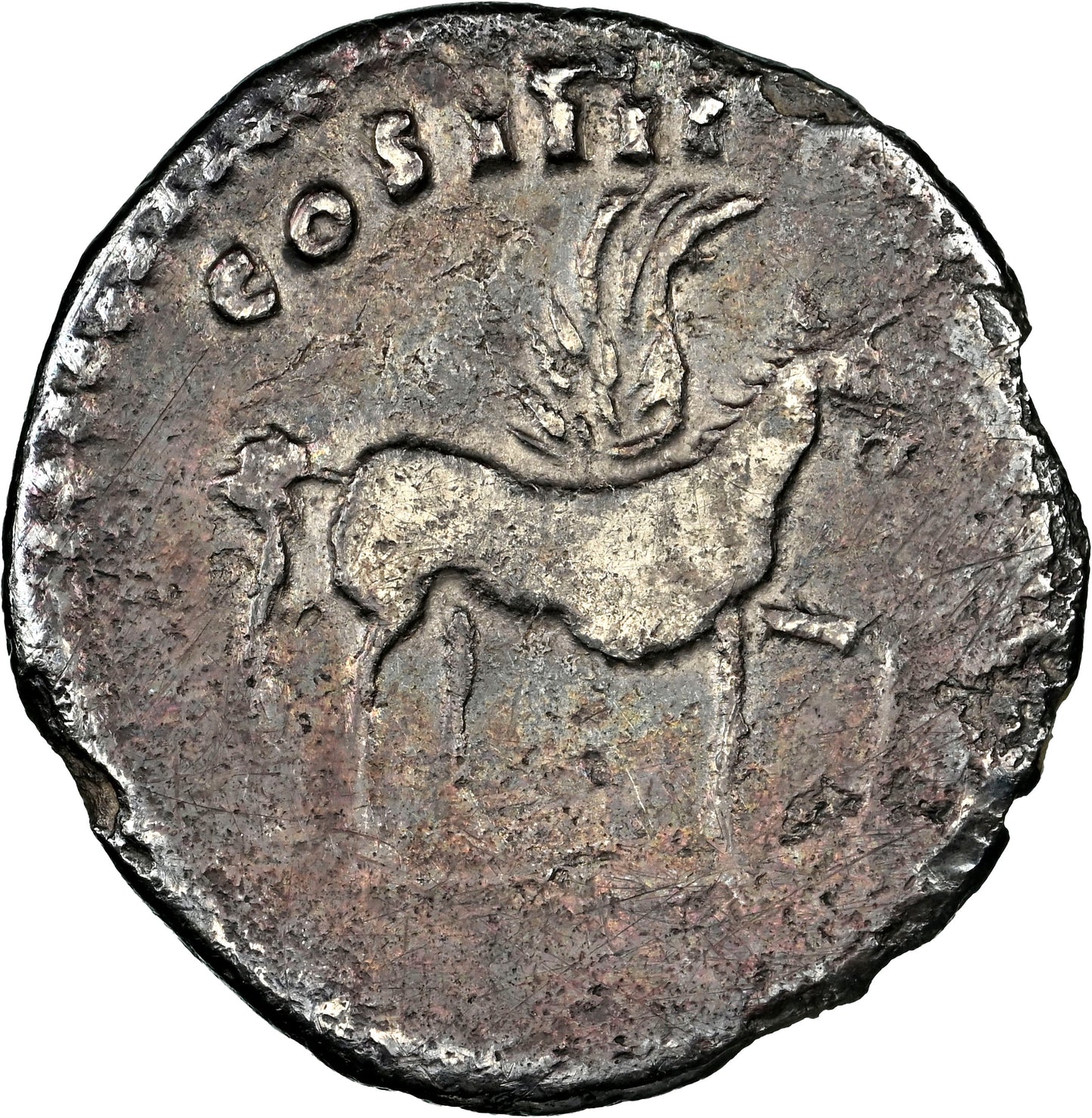 Roman Empire - Domitian - Silver Denarius - NGC Ch F - RIC:921