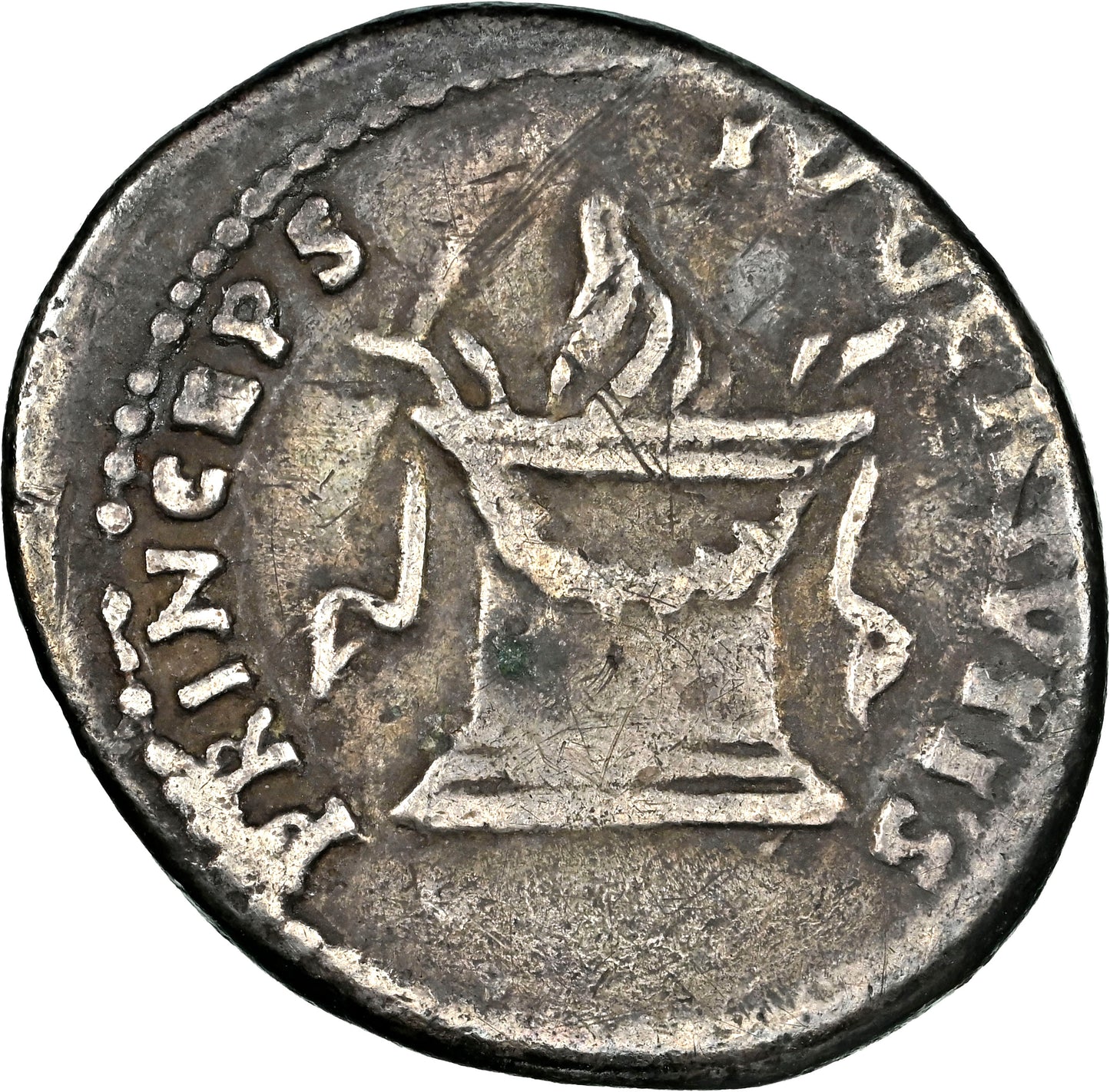 Roman Empire - Domitian - Silver Denarius - NGC F - RIC:266