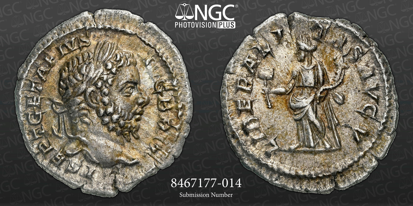 Roman Empire - Geta - Silver Denarius - NGC Ch XF - RIC:88