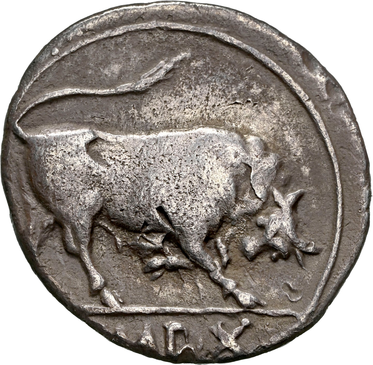 Roman Empire - Augustus - Silver Denarius - NGC VF - RIC:167a