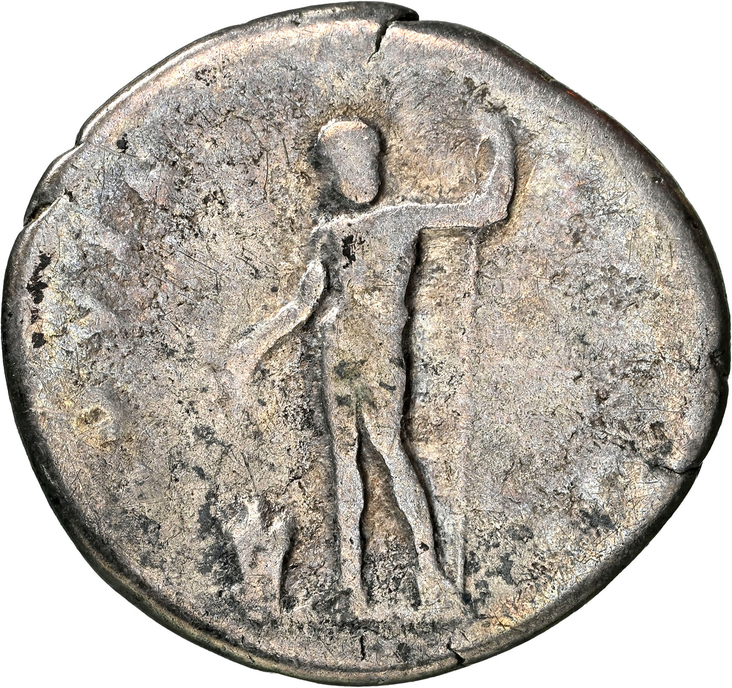 Roman Empire - Titus - Silver Denarius - NGC F - RIC:874