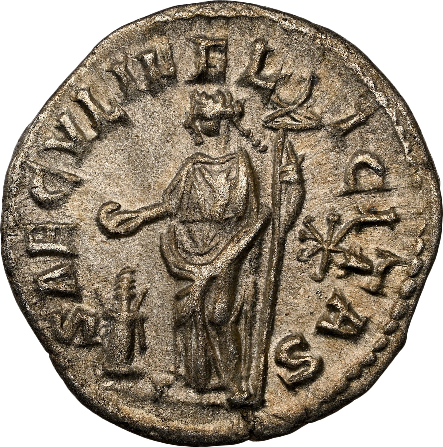 Roman Empire - Julia Maesa - Silver Denarius - NGC Ch VF