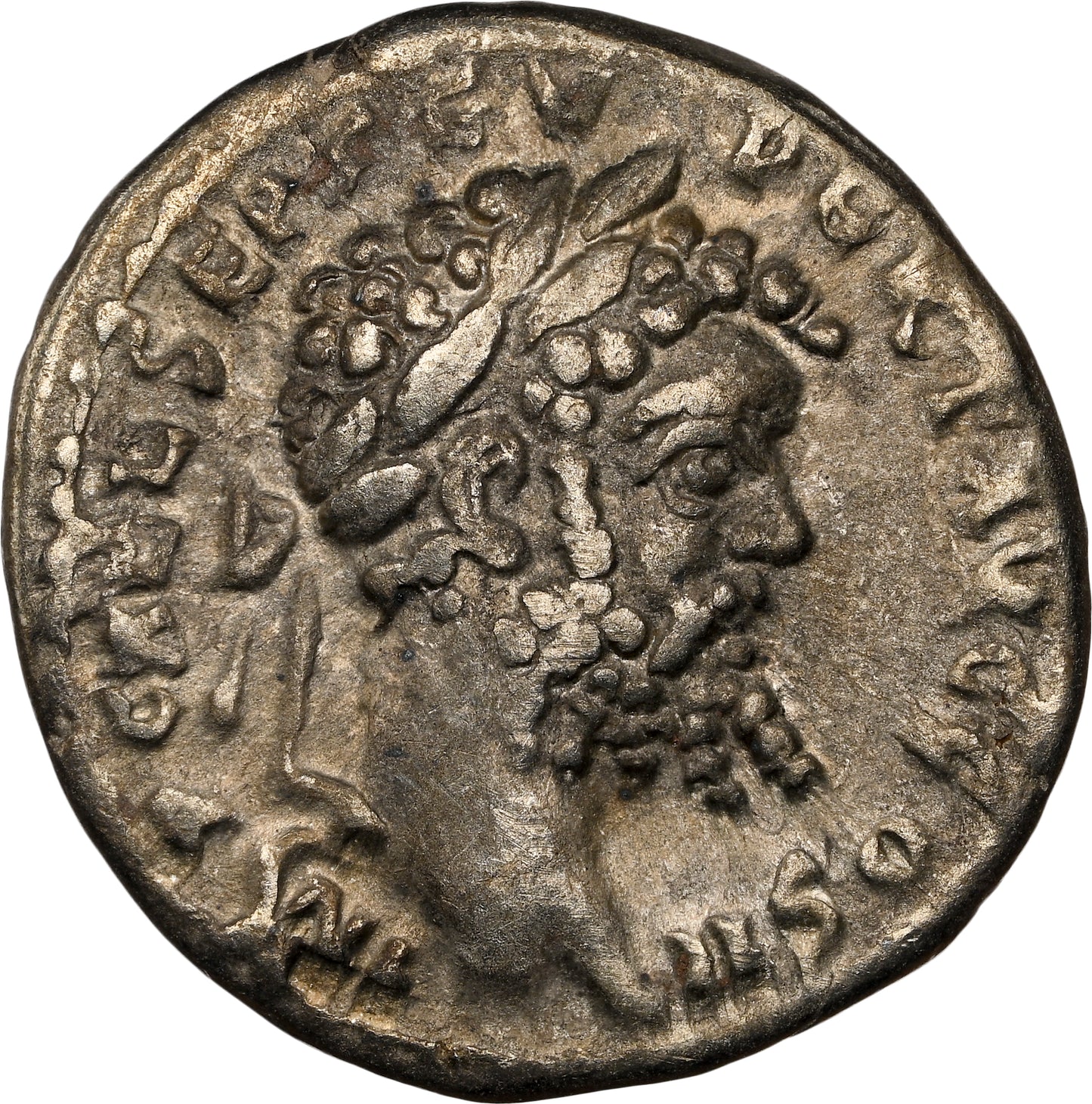 Roman Empire - Septimius Severus - Silver Denarius - NGC VF