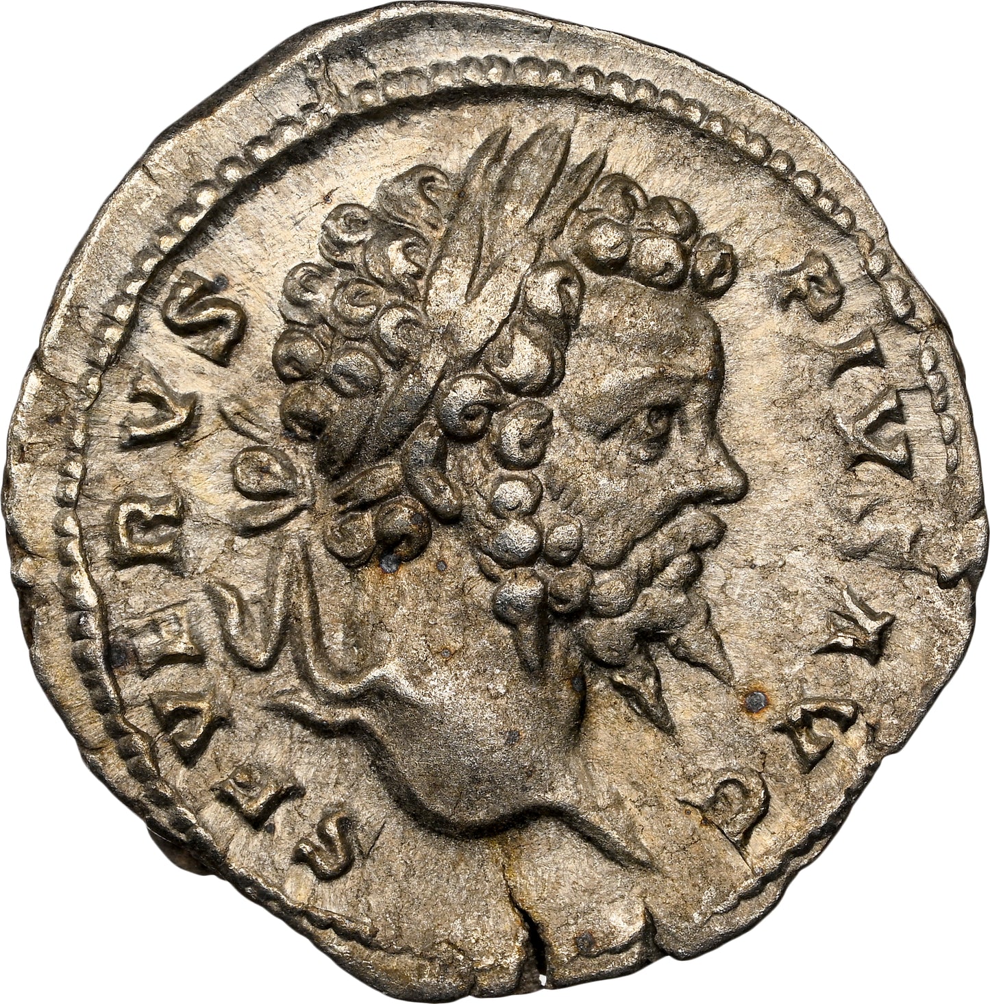 Roman Empire - Septimius Severus - Silver Denarius - NGC XF