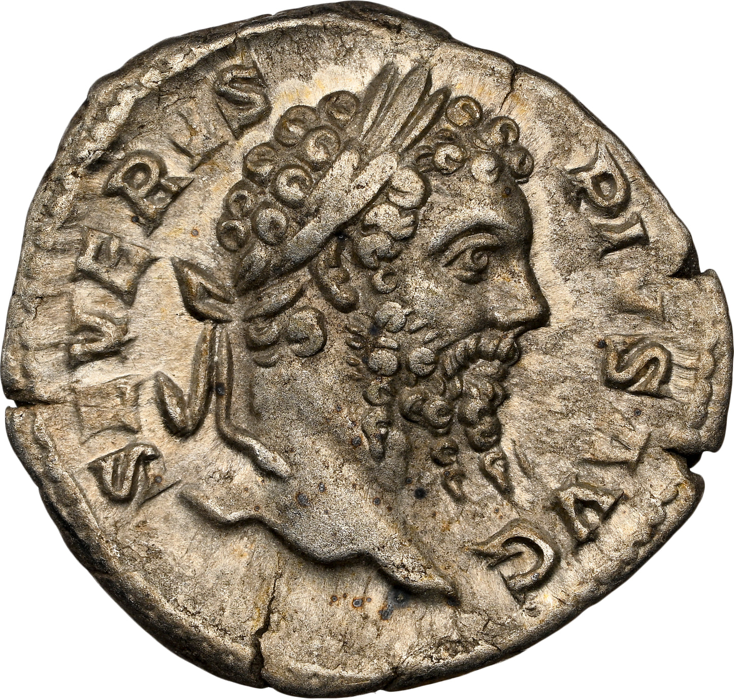 Roman Empire - Septimius Severus - Silver Denarius - NGC Ch VF