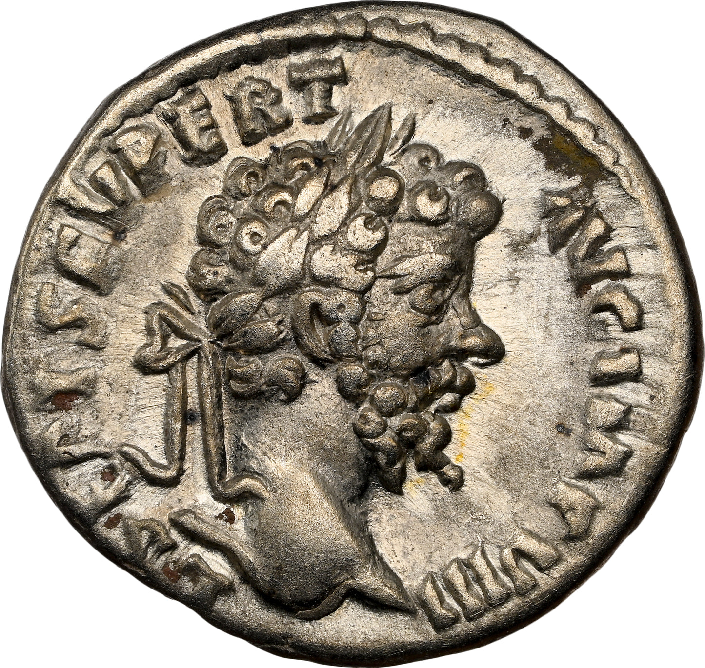 Roman Empire - Septimius Severus - Silver Denarius - NGC Ch VF