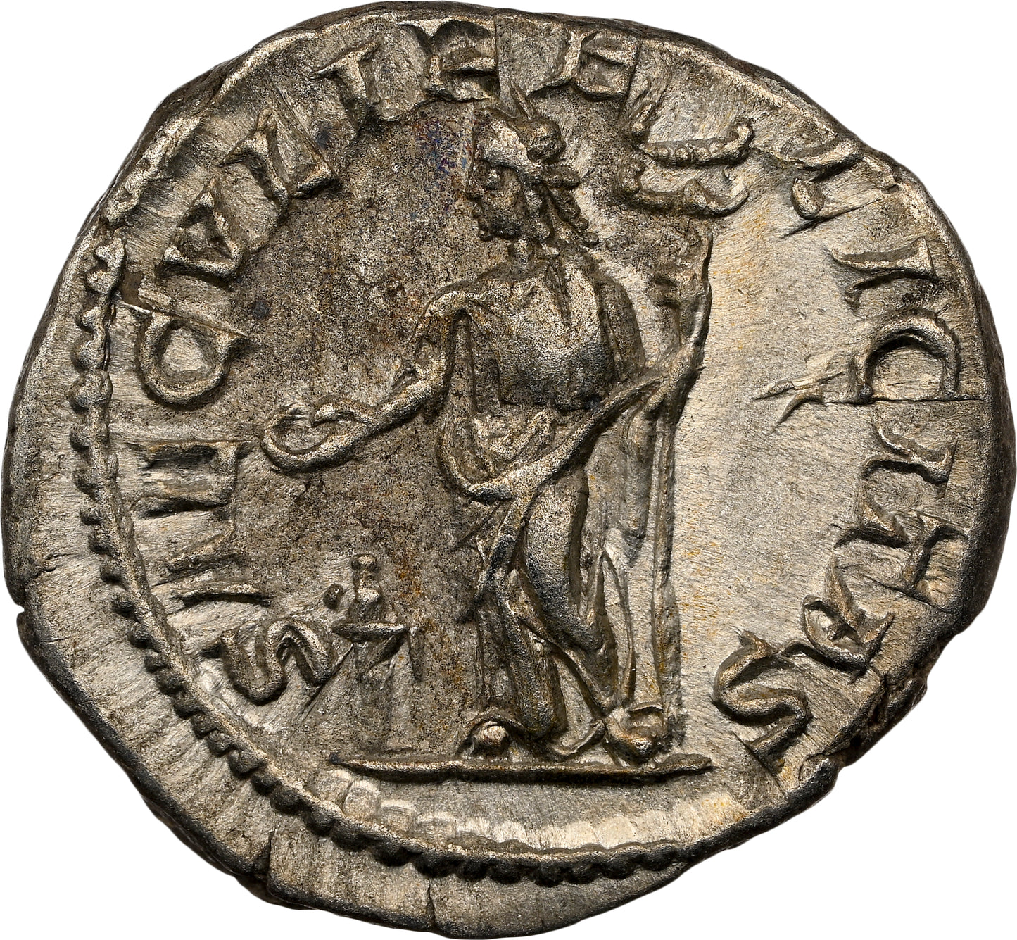 Roman Empire - Julia Maesa - Silver Denarius - NGC XF