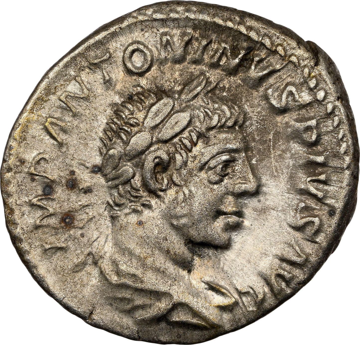 Roman Empire - Elagabalus - Silver Denarius - NGC XF