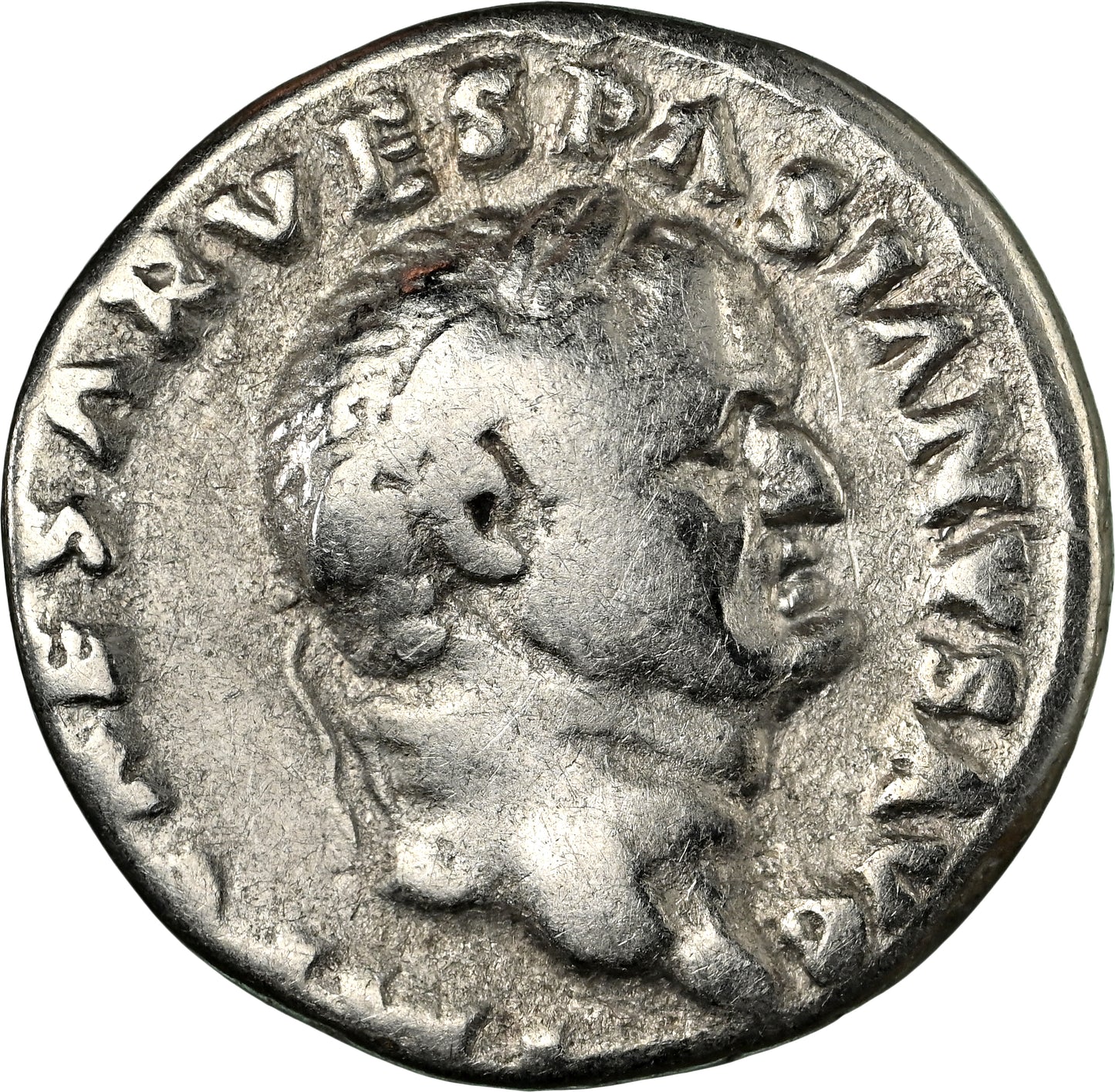 Roman Empire - Vespasian - Silver Denarius - NGC F
