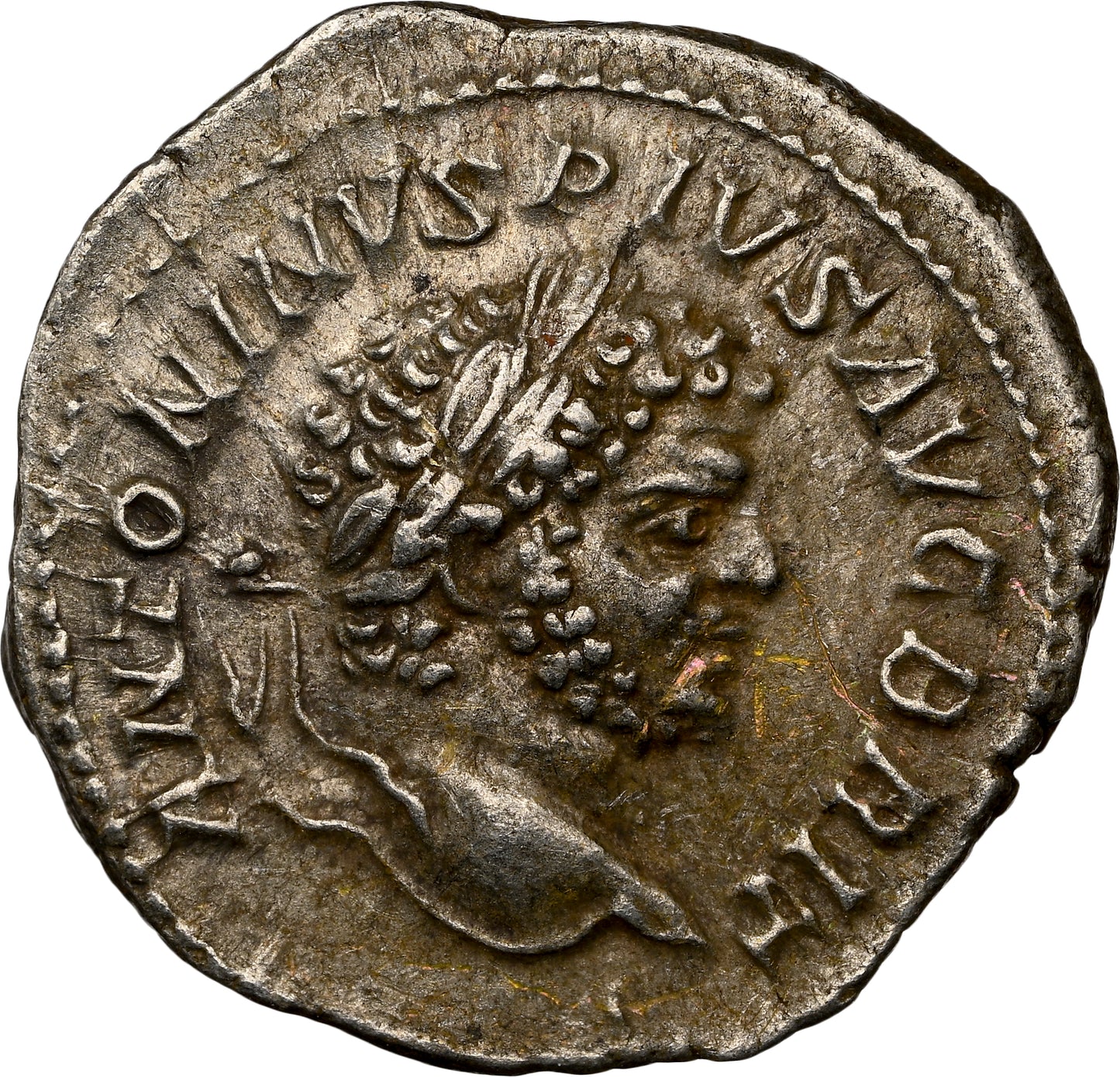 Roman Empire - Caracalla - Silver Denarius - NGC Ch XF