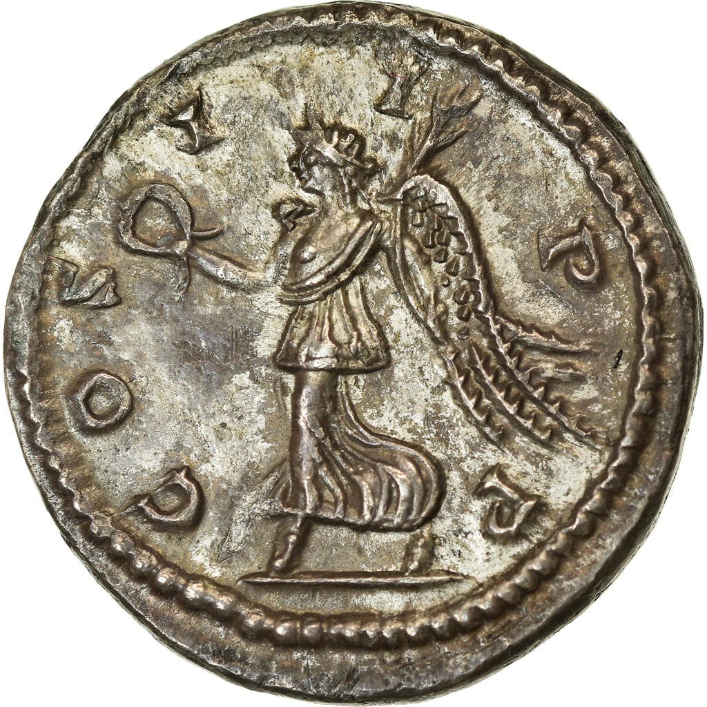 Roman Empire - Septimius Severus - Silver Denarius - NGC Ch AU - RIC:503