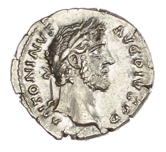 Roman Empire - Antoninus Pius - Silver Denarius - NGC Ch AU - RIC:84