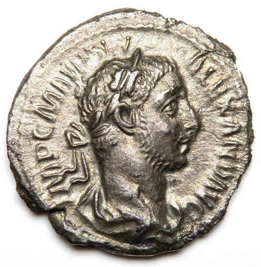 Roman Empire - Severus Alexander - Silver Denarius - NGC AU - Sear: 7856