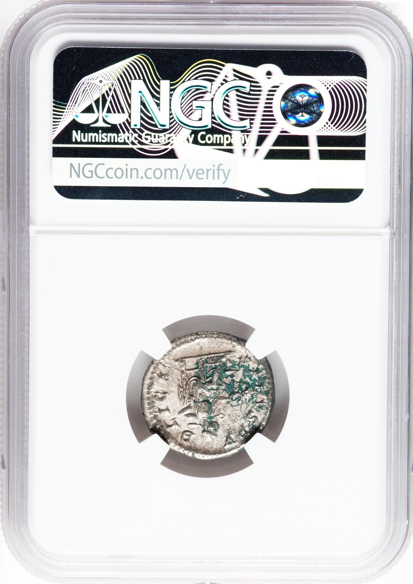 Roman Empire - Severus Alexander - Silver Denarius - NGC XF