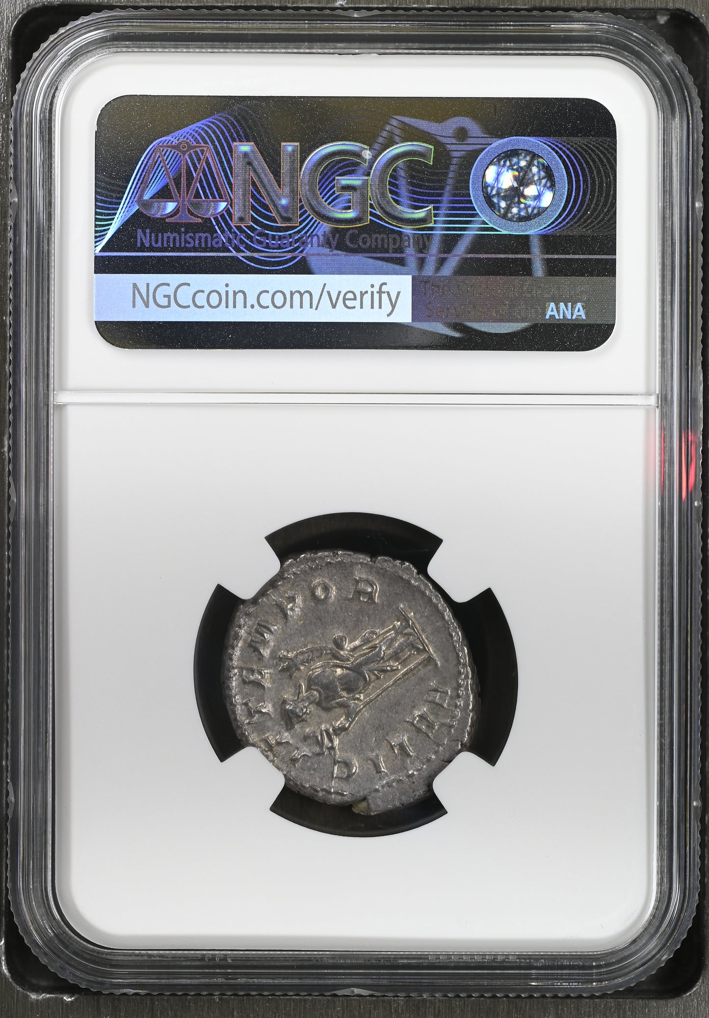 Roman Empire - Gordian III - Silver Double-Denarius - NGC Ch XF - Heavy-Weight Specimen