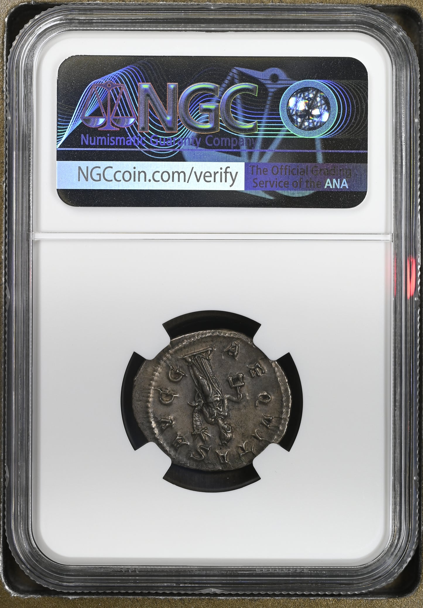 Roman Empire - Philip I - Silver Double-Denarius - NGC Ch XF