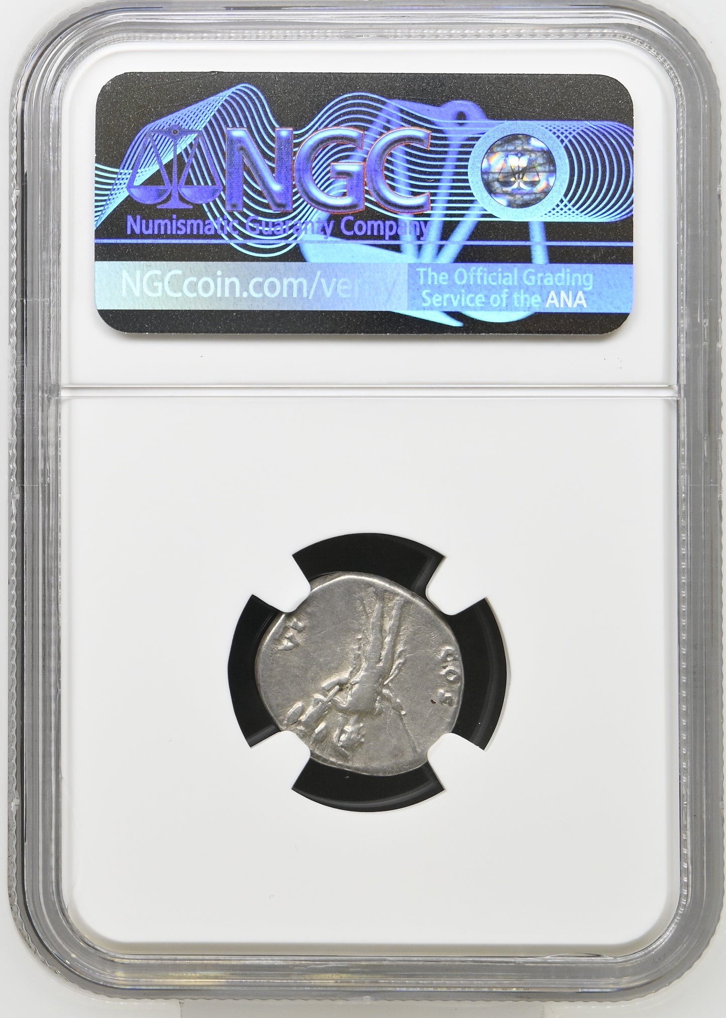 Roman Empire - Titus - Silver Denarius - NGC VF - RIC:948