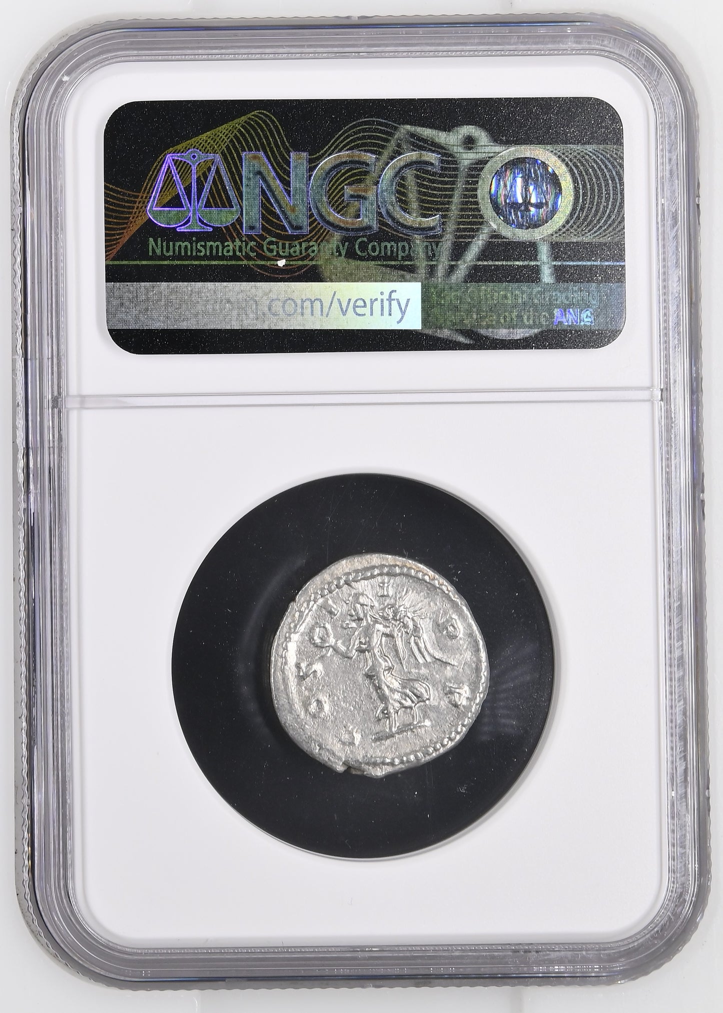 Roman Empire - Septimius Severus - Silver Denarius - NGC AU - RIC:503a