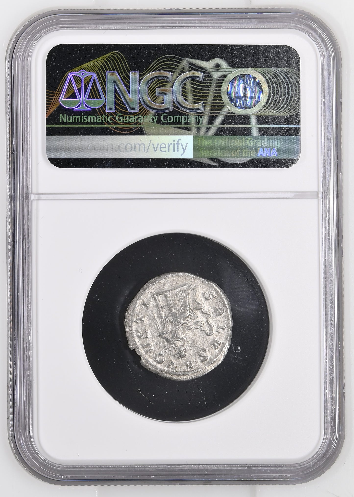 Roman Empire - Maximinus I - Silver Denarius - NGC XF - RIC:14