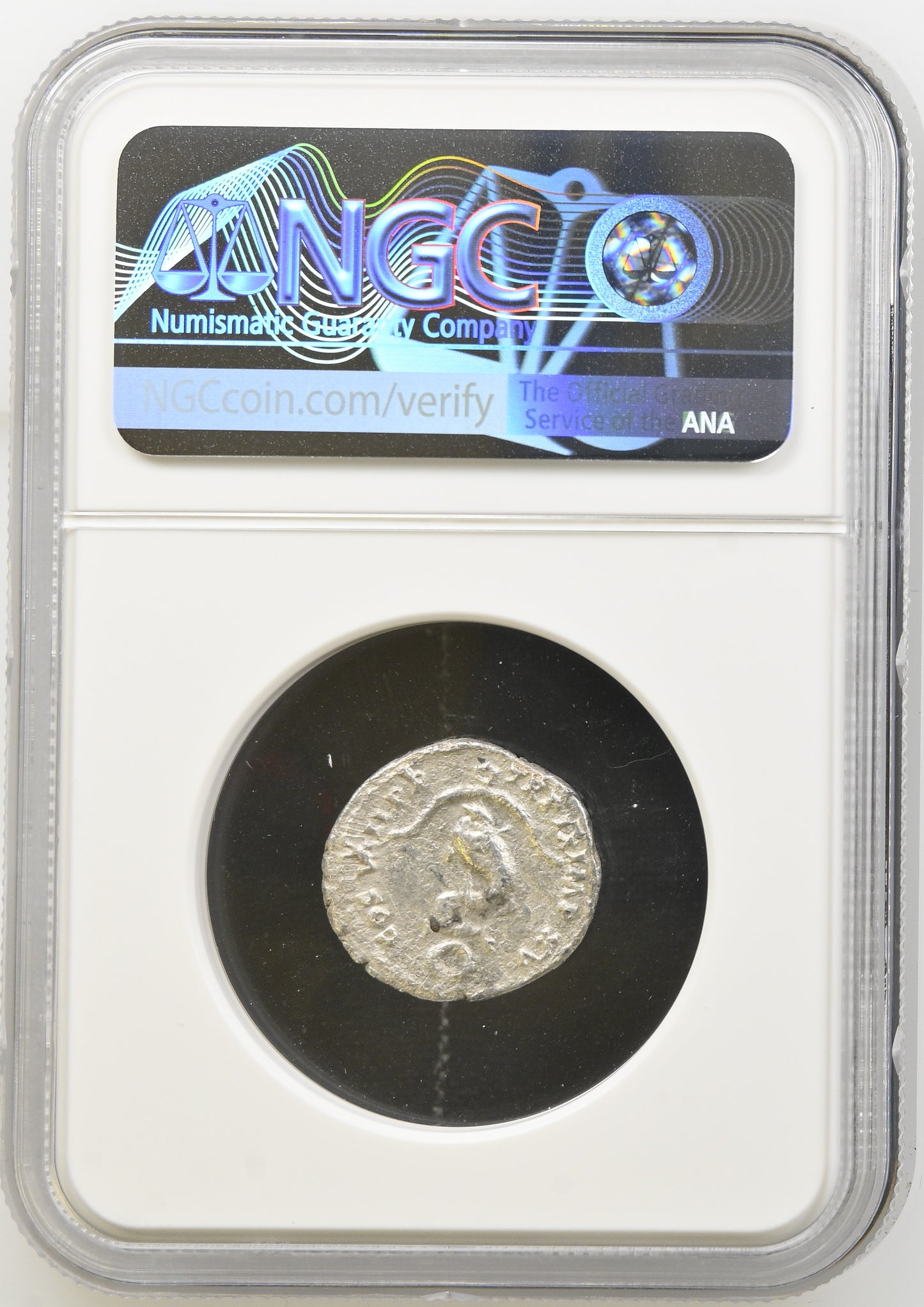 Roman Empire - Titus - Silver Denarius - NGC Ch VF - RIC:112