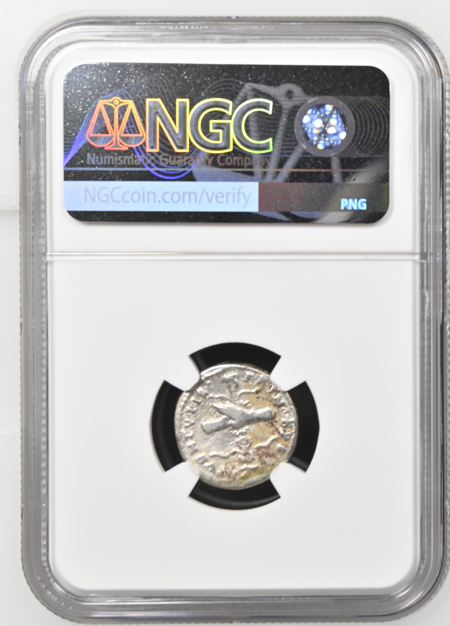 Roman Empire - Domitian - Silver Denarius - NGC F - RIC:1081
