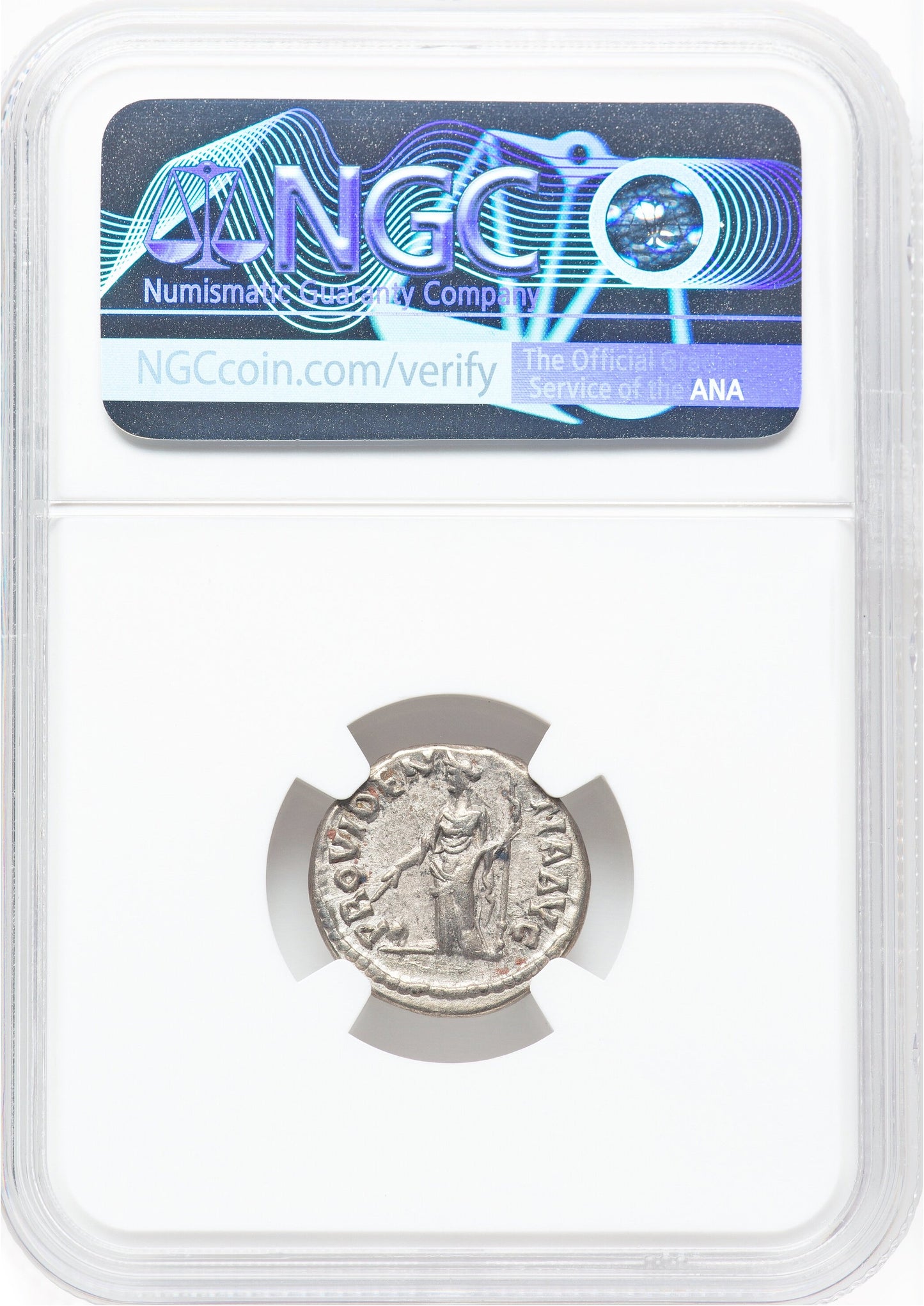 Roman Empire - Septimius Severus - Silver Denarius - NGC XF