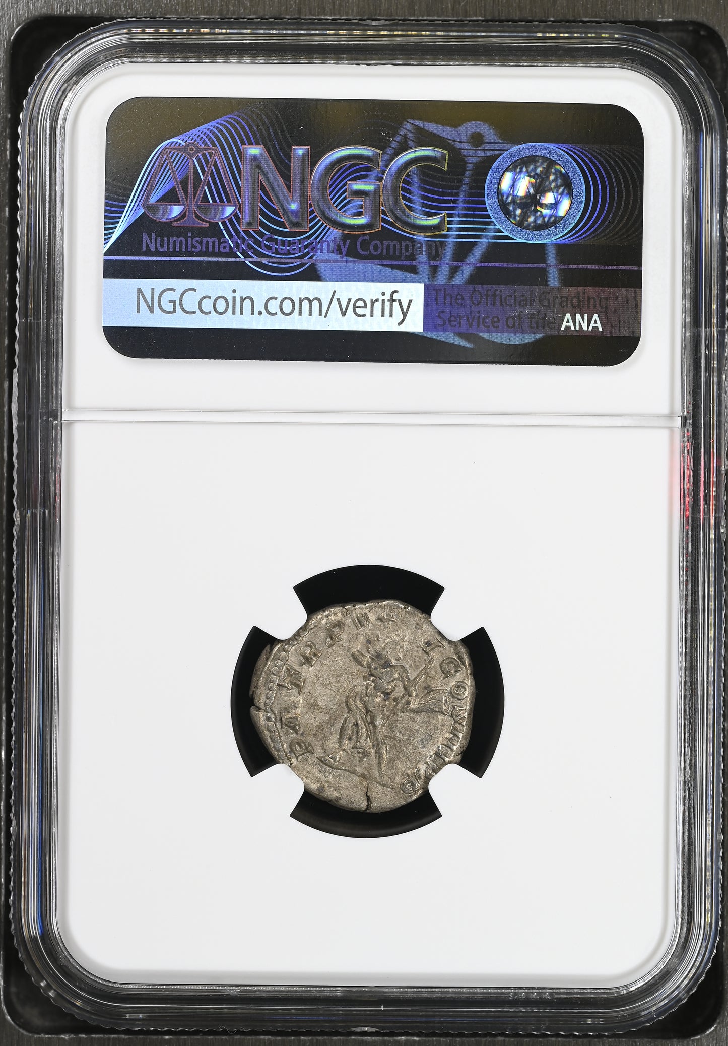 Roman Empire - Septimius Severus - Silver Denarius - NGC Ch VF