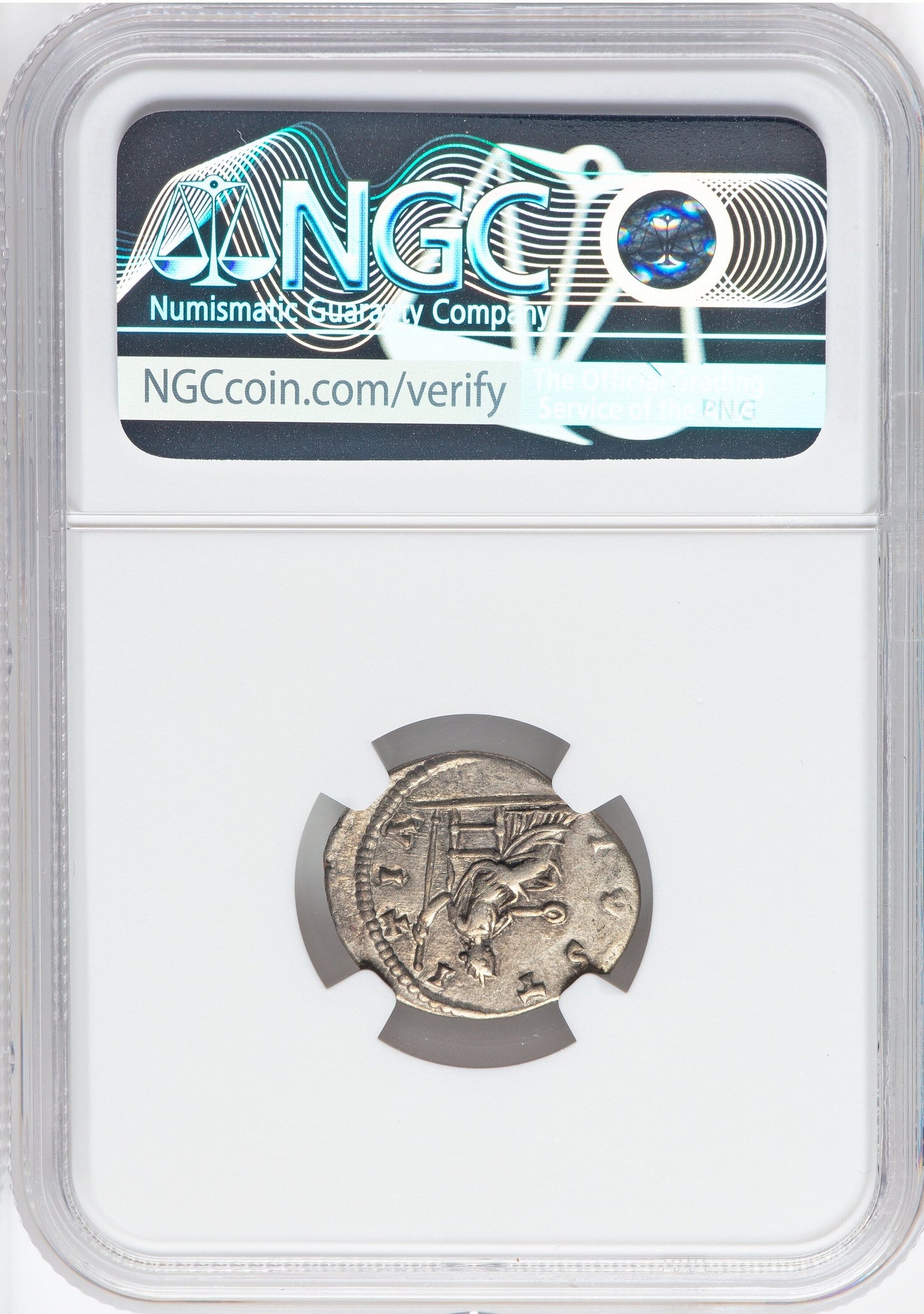 Roman Empire - Septimius Severus - Silver Denarius - NGC XF