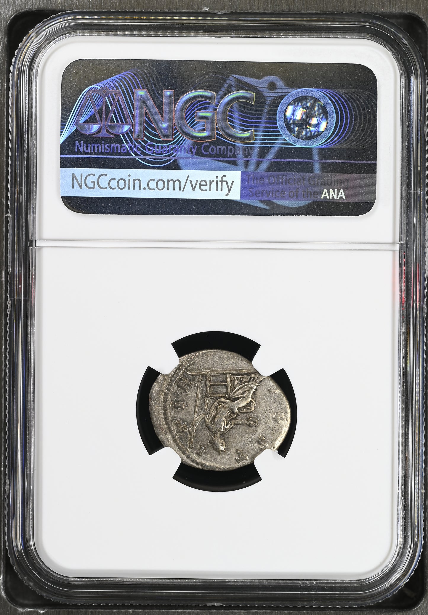 Roman Empire - Septimius Severus - Silver Denarius - NGC XF