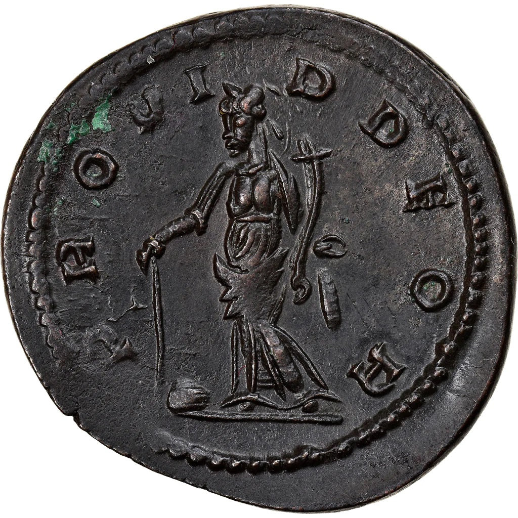 Roman Empire - Tacitus - Billon Aurelianianus - NGC Ch AU - RIC:48